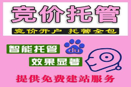 托管SEM竞价策略：行业领先企业的秘密武器
